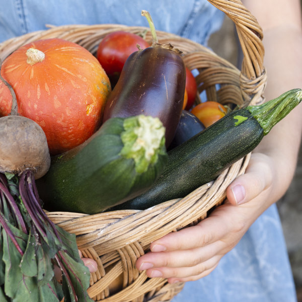 Légumes pour notre conserverie anti-gaspi